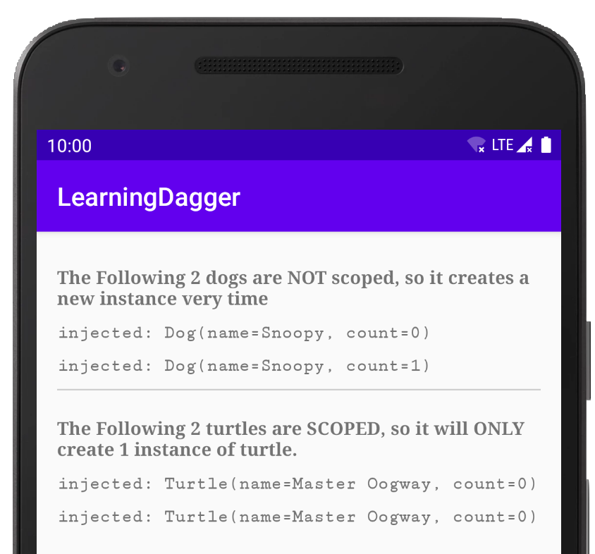 2 different dogs, 1 same turtle
